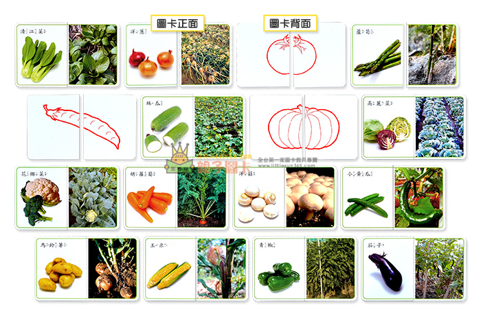 快樂寶盒認知學習繪本圖卡營養的蔬菜